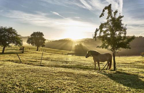 Bio-Ferienhof Höfler - Foto 56