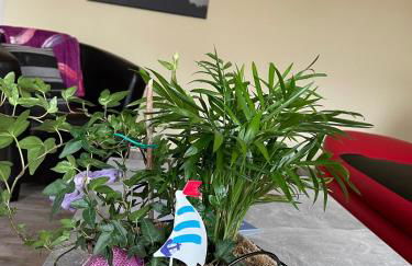 Ferienwohnung mit Terrasse - Insel Usedom - Foto 12