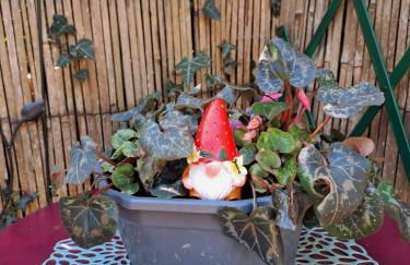 Penty La Houssaye - Photo 20