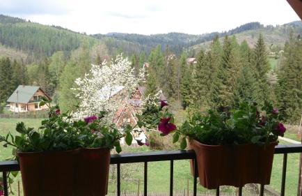 Dom Wakacyjny Letnisko - Foto 45