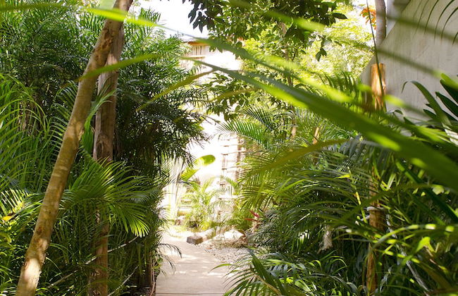 Casa Tulum - Photo 43