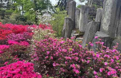 Apartment GNUBBEL am Wald - Foto 27