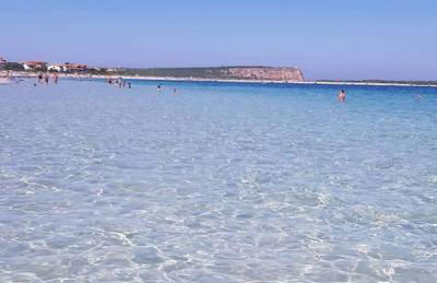 il telaio sardo Bonarcado - Foto 1