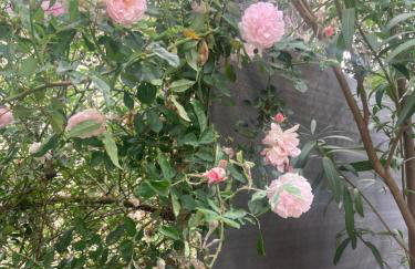 Maison DELMAS, l'Oustal du Recantu - Foto 58