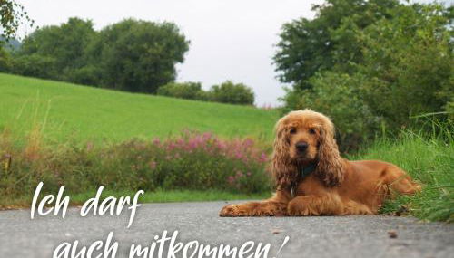 Ferienhaus am See - Foto 3