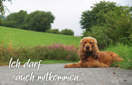 Ferienhaus am See - Foto 3