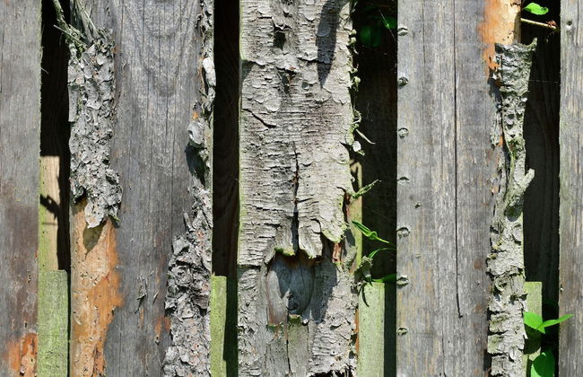 Spacious Home, Sauerland - Photo 27