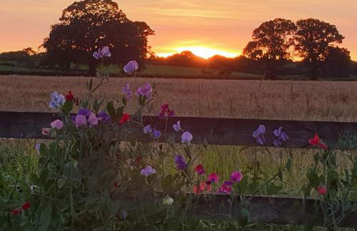 The Old Mill Cottage - Foto 38