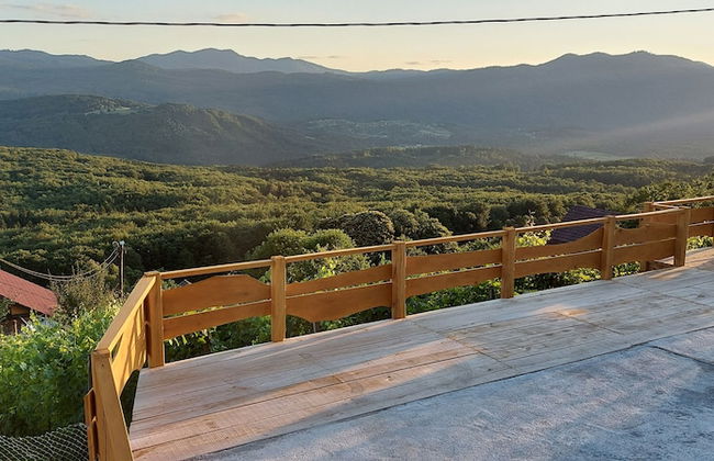 Vineyard cottage Stopar - Foto 8