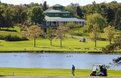 Enchanting and comfy urban cottage with renovated rustic den by Como Park & MN State Fair - Foto 46