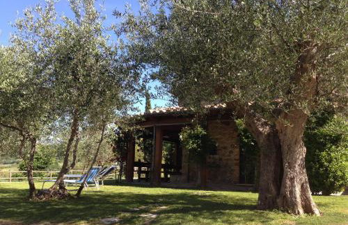 Podere Poggio Benedetto - Foto 8