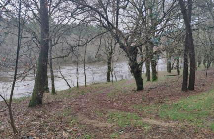 Casa Rural A Telleira - Foto 18