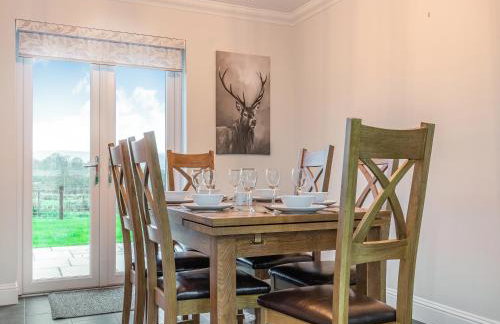 Fiadh Ruadh-Uk40008 - Foto 6