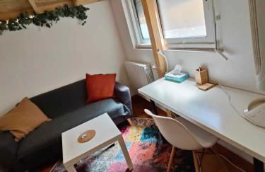 Petit Mignon - Hypercentre Toulouse - Foto 16