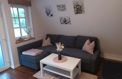 Ferienhaus Elbliebe - kleine Hunde bis 25 cm willkommen - Foto 7