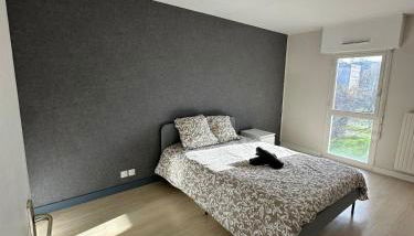 T3 proche aéroport - Photo 3