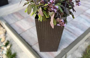 Luxury Villa El Istria with Pool, BBQ, Terrace - Labin-Rabac - Foto 10