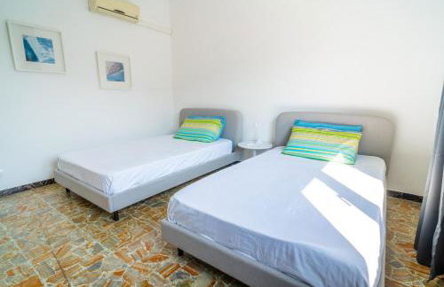 Helianthus - Photo 31