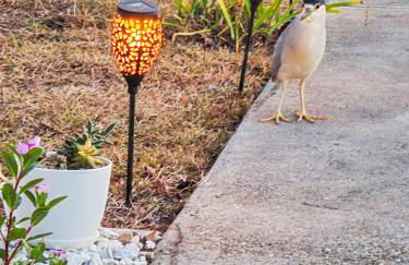 Dockside Delight Waterfront Gulf Access 4 mins to Beach - Foto 53