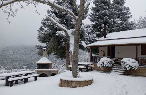 Ξενώνας Το Πατρικό - Foto 42