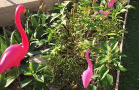 Villa Sueno - Photo 67