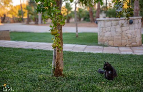 Dimore casalesalento - Foto 9