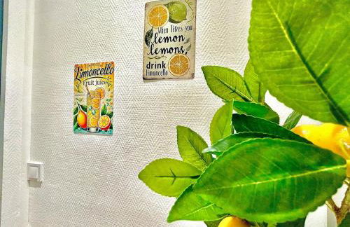 Le Zeste, centre parking gratuit - Foto 20