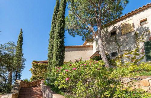 Mas Nou 476 - Foto 19