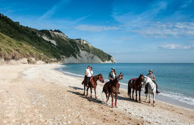 ⭐ SeaSide⭐ | 100 m dal Mare Love & Family Wi-Fi AC - Foto 9