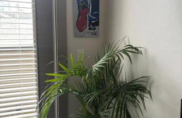 Relax in the Heart of Houston - Foto 10