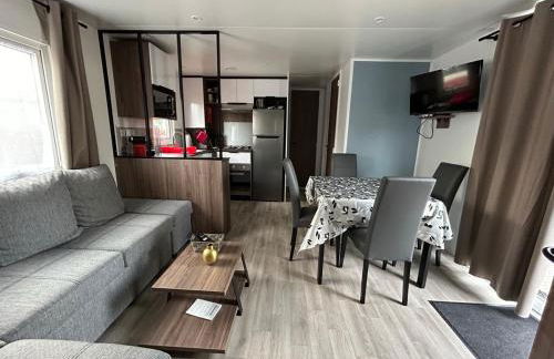 Le Paradis du Rhône - mobilhome moderne et confortable - Foto 1