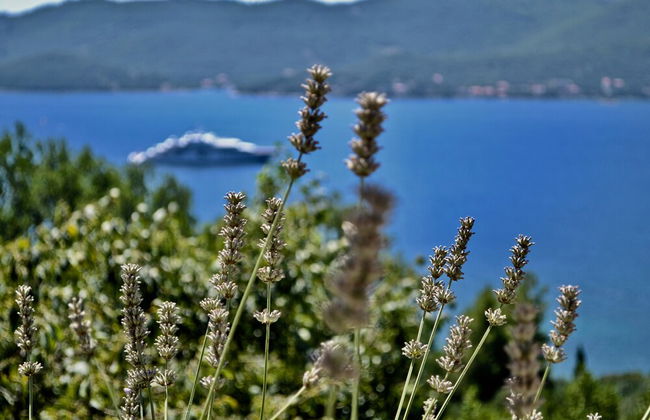 Restored 350 Year old Villa, Stunning Views, Idyllic Location, Large Pool - Foto 11