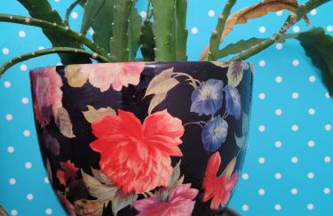 Agroturystyka Kaszuby Villagehome - Foto 31