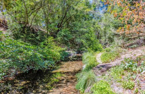 Lovely Creekside Wine Country Home in Glen Ellen - Foto 35