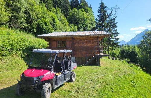 Chalet d'alpage avec vue incroyable - Foto 26