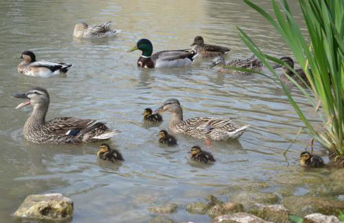 L'instant Canal - Foto 25