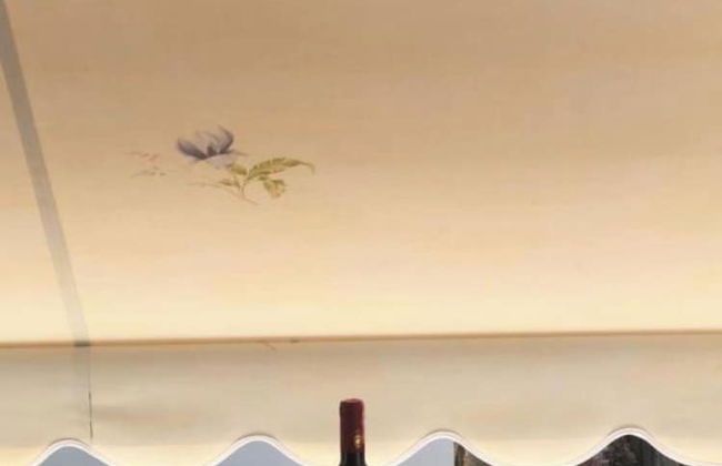 Vila Xhafa - Foto 73