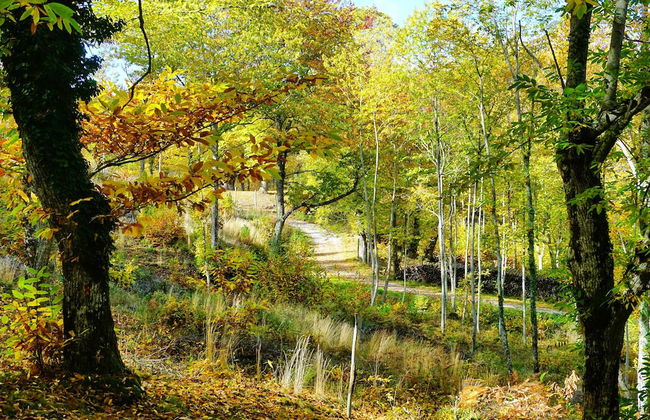 Agriturismo Bio I Rondinelli - Foto 54