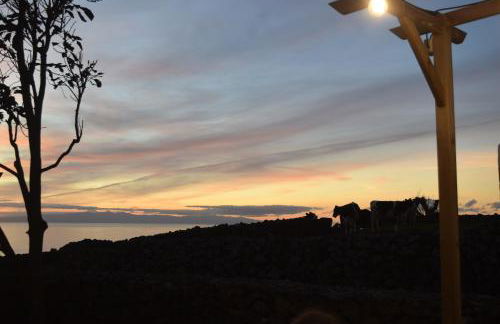 Casas da Ribeira - Photo 28