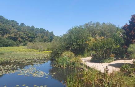 T2, 50m du lac, PISCINE, WIFI, jardin terrasse sans vis-à-vis, 1 à 4 pers - Photo 40