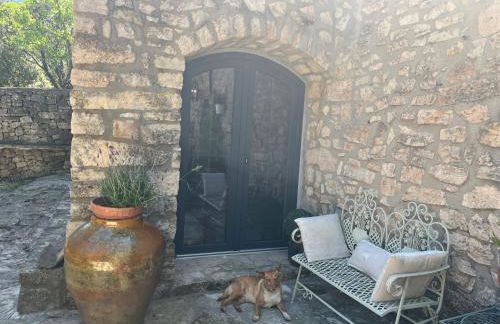 Masiadenjust - Foto 48