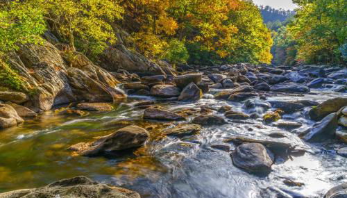 Cedar Lodge by Jackson Mountain Rentals - Foto 4