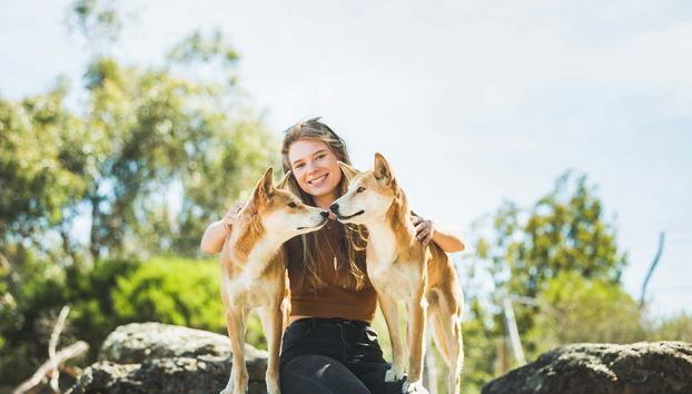 Complete Phillip Island Day Trip - Photo 4