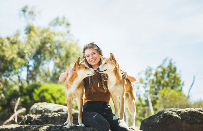 Complete Phillip Island Day Trip - Photo 4