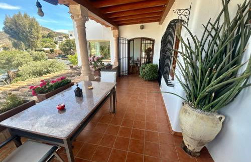 La Washingtonia - Foto 44