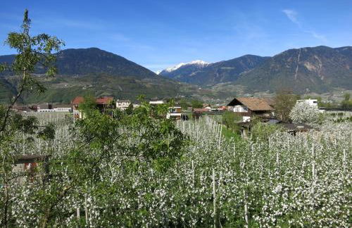 Feldererhof - Foto 52