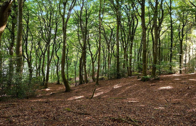 5 Person Holiday Home in Skanderborg-by Traum - Photo 5