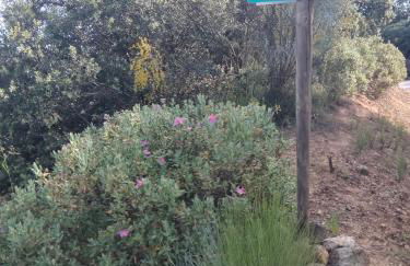 Finca Los Jacaros - Foto 10