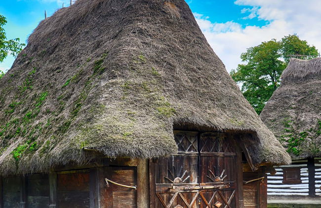 Visita guidata del Museo del Villaggio e del Parco Herastrau - Foto 1