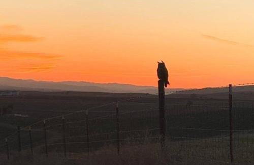 Sunset at Nirvana - Photo 51